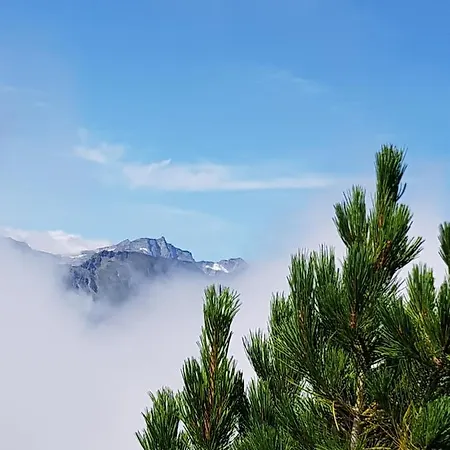 Auszeit Am Berg *